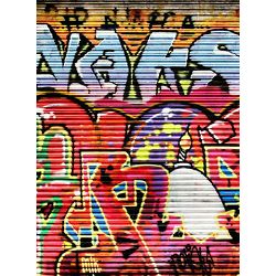 Click Props Background Vinyl with Print Shutter Graffiti 2 2.13x2.9m studijska foto pozadina s grafikom