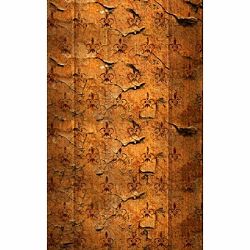 Click Props Background Vinyl with Print Old Wallpaper 2.13x2.9m studijska foto pozadina s grafikom