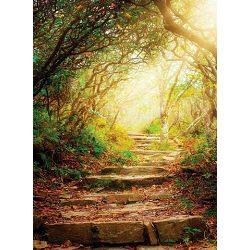 Click Props Background Vinyl with Print Forest Steps 2.13x2.9m studijska foto pozadina s grafikom