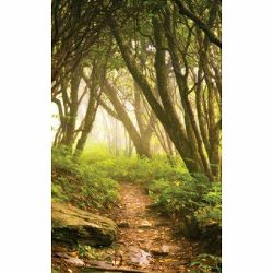 Click Props Background Vinyl with Print Forest Path 2.13x2.9m studijska foto pozadina s grafikom