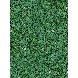 Click Props Background Vinyl with Print Flower Floor 2.13x2.9m studijska foto pozadina s grafikom