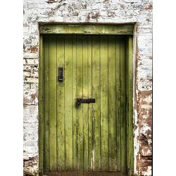 Click Props Background Vinyl with Print Green Padlocked Door 2.13x2.9m studijska foto pozadina s grafikom