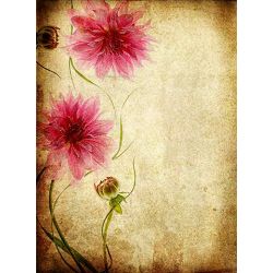 Click Props Background Vinyl with Print Parchment Flowers 2.13x2.9m studijska foto pozadina s grafikom