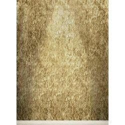 Click Props Background Vinyl with Print Golden master 2.13x2.9m studijska foto pozadina s grafikom