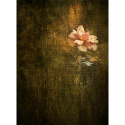 Click Props Background Vinyl with Print Tapestry Flower 2.13x2.9m studijska foto pozadina s grafikom