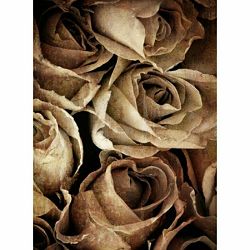 Click Props Background Vinyl with Print Rose Weathered Grey 2.13x2.9m studijska foto pozadina s grafikom