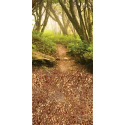 Click Props Vinyl with Print Forest Path 1.52x3m studijska foto pozadina s grafikom