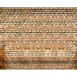 Click Props Vinyl with Print Old Rural Brick Wall 3x2.44m studijska foto pozadina s grafikom