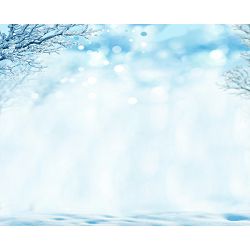 Click Props Vinyl with Print Winter Scene 3x2.44m studijska foto pozadina s grafikom