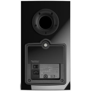 dali-rubicon-2-c-black-high-gloss-24060-5703120110554.jpg