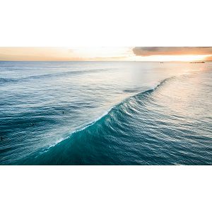 dji-inspire-1-raw-with-two-remote-contro-03013370_19.jpg
