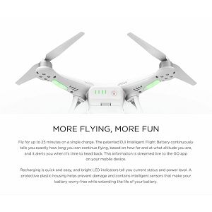 dji-phantom-3-standard-extra-battery-bac-03013839_13.jpg