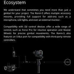 dji-ronin-s-3-axis-gimbal-stabilizer-3d--djironins_26.jpg