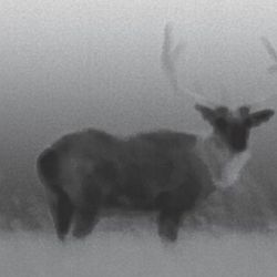 flir-scout-ii-320-thermal-imaging-camera-812462020331_3.jpg