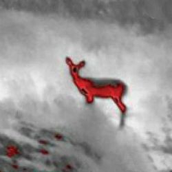 flir-scout-iii-320-thermal-imaging-camer-812462021055_2.jpg