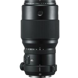 fujifilm-gf-250mm-f-4-r-lm-ois-wr-200mm--03018916_10.jpg