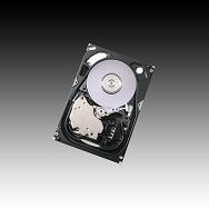 HDD Server HGST Ultrastar 15K600 (3.5", 600GB, 64MB, SAS, 15000 rpm)