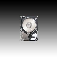 HDD Server SEAGATE Savvio 10K.2 (2.5", 73GB, 16MB, Serial Attached SCSI)