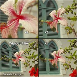 hoya-close-up-1-2-4-hmc-ii-set-komplet-m-0024066064158_6.jpg