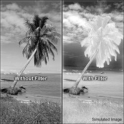 hoya-infrared-r72-77mm-filter-03015046_2.jpg