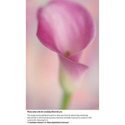lensbaby-velvet-56mm-f-16-macro-1-2-port-0850366006068_3.jpg