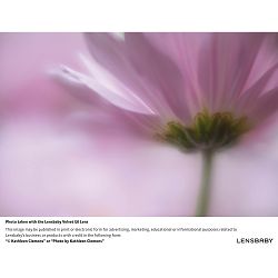 lensbaby-velvet-56mm-f-16-macro-1-2-port-0850366006068_4.jpg