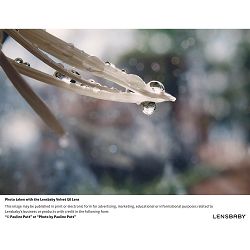 lensbaby-velvet-56mm-f-16-macro-1-2-port-0850366006068_5.jpg