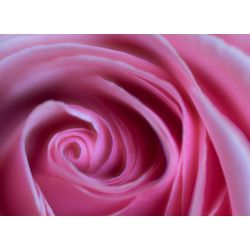 lensbaby-velvet-85mm-f-18-macro-1-2-port-0850366006846_4.jpg