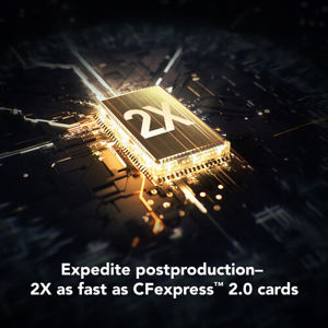 lexar-cfexpress-type-b-256gb-r3600w3300-professional-gold-me-91150-0843367144310.jpg