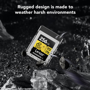 lexar-cfexpress-type-b-256gb-r3600w3300-professional-gold-me-95896-0843367144310.jpg