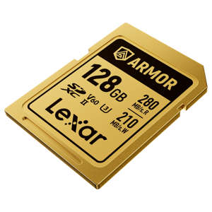 lexar-sdxc-128gb-280mbs-210mbs-class-10-uhs-ii-c10-v60-u3-pr-90874-843367138562.png