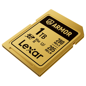 lexar-sdxc-1tb-280mbs-210mbs-class-10-uhs-ii-c10-v60-u3-prof-56902-843367138593.png