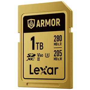 lexar-sdxc-1tb-280mbs-210mbs-class-10-uhs-ii-c10-v60-u3-prof-70292-843367138593.png