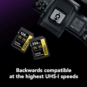 lexar-sdxc-256gb-2000x-300mbs-260mbs-uhs-ii-c10-v90-u3-memor-2620-843367125920_110479.jpg