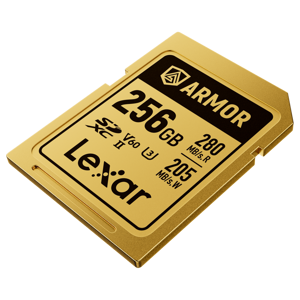lexar-sdxc-256gb-280mbs-210mbs-class-10-uhs-ii-c10-v60-u3-pr-69756-843367138579.png