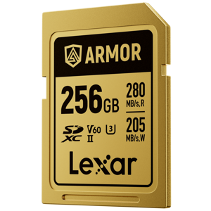 lexar-sdxc-256gb-280mbs-210mbs-class-10-uhs-ii-c10-v60-u3-pr-86867-843367138579.png