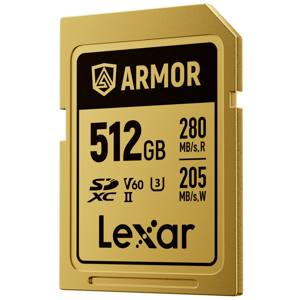 lexar-sdxc-512gb-280mbs-210mbs-class-10-uhs-ii-c10-v60-u3-pr-58887-843367138586.png
