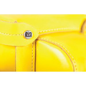 lomography-diana-mini-case-buttercup-yel-b550by_3.jpg