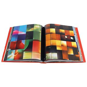 lomography-dont-think-just-shoot-book-d3-d300_2.jpg