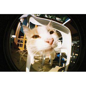 lomography-fisheye2-camera-fcp200-fcp200_5.jpg