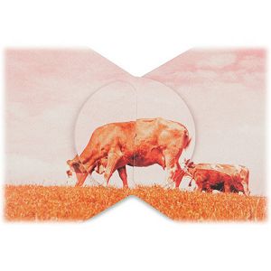 lomography-journey-frame-set-big-square--d920sq2_3.jpg