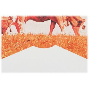 lomography-journey-frame-set-big-square--d920sq2_4.jpg