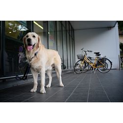 meike-28mm-f-28-objektiv-lens-za-mft-mir-03015650_5.jpg