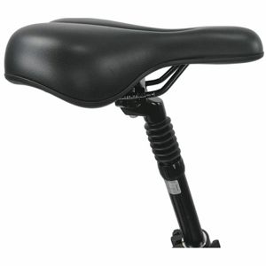 ms-energy-ebike-c501-size-l-32423-3856005183081.jpg