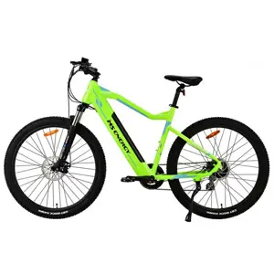 MS Energy eBike m11