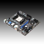 MSI Main Board Desktop AMD A55 (SFM1,DDR3,VGA,SATA II,LAN,USB 2.0,DVI) mATX Box