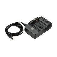 Nikon MH-21(E)SET QUICK CHARGER MH punjač VAK134EA