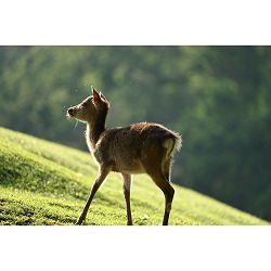 nikon-z-100-400mm-f-45-56-vr-s-telefoto--4960759906557_9.jpg