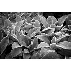 nikon-z-28mm-f-28-se-sirokokutni-objekti-4960759909275_3.jpg