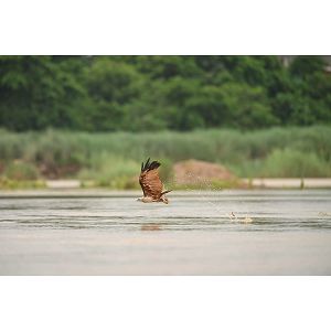 nikon-z-600mm-f63-vr-s-jma505da-47018-jma505da_109561.jpg